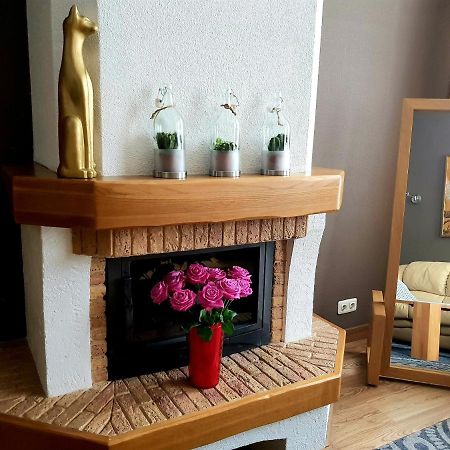 Gustav House Apartment Daugavpils Ngoại thất bức ảnh